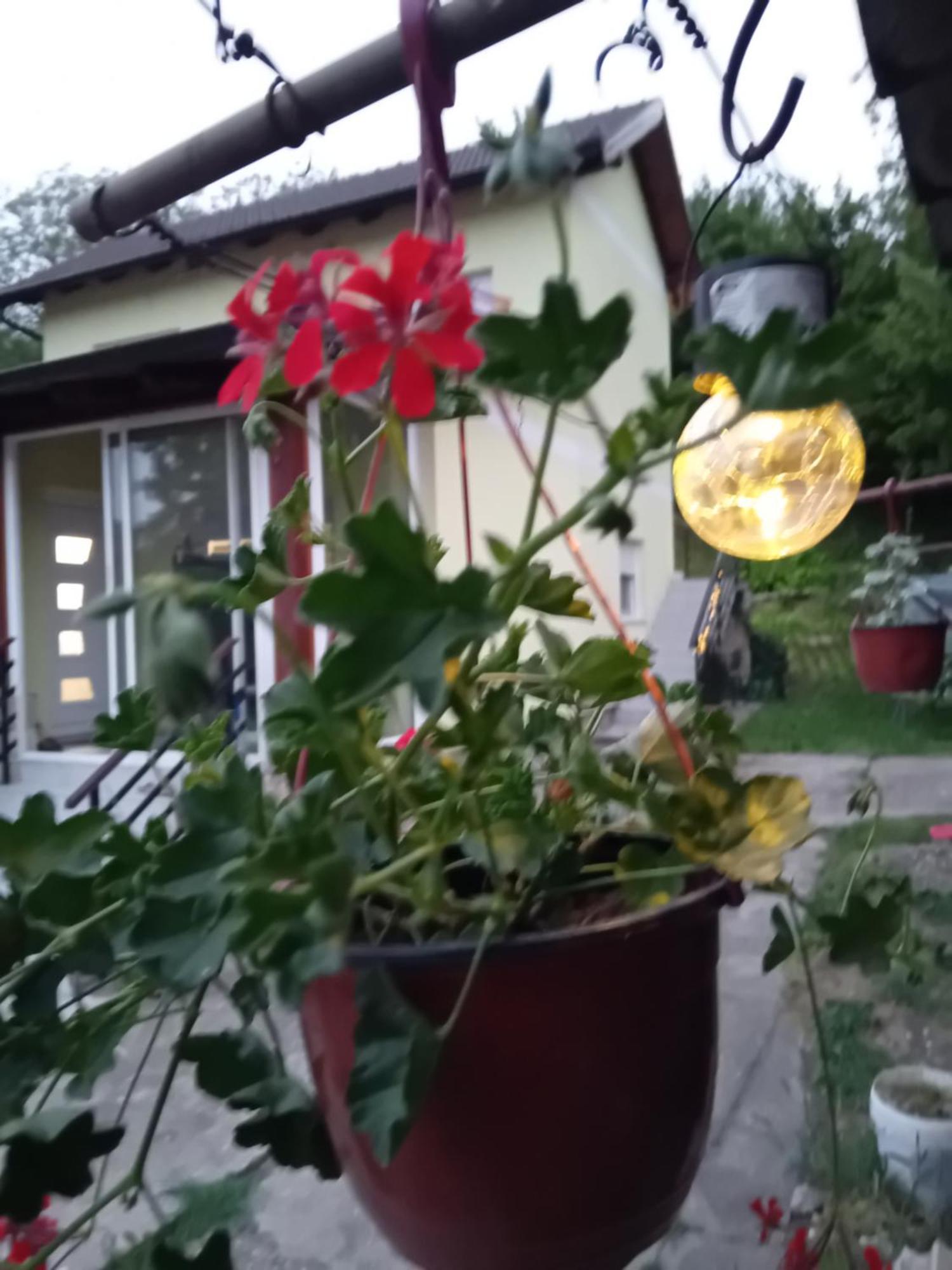 Lux Snezana Apartman Rednek Kültér fotó